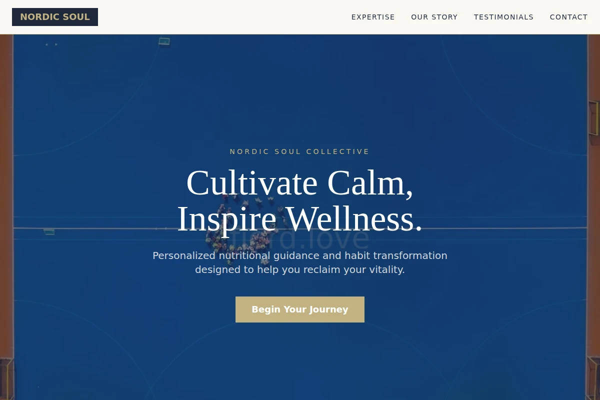 Loom Health Coach